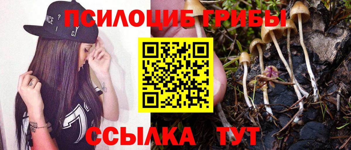 Псилоцибиновые грибы ЛСД Уварово