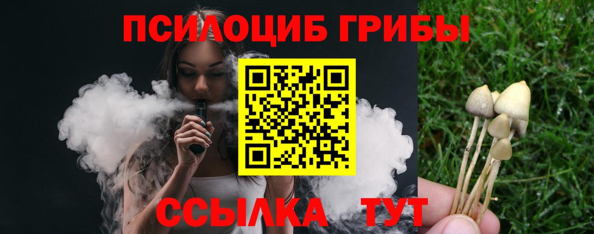 Уварово  Псилоцибиновые грибы MAGIC MUSHROOMS  Галлюциногенные грибы Psilocybine cubensis  Вход с VPN 